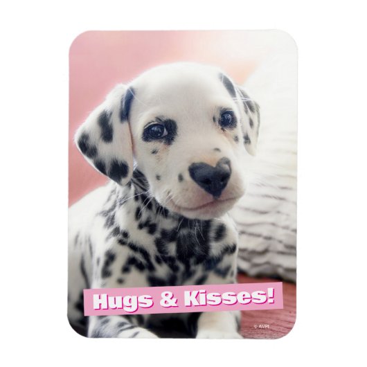 Dalmatian Heart Nose マグネット (縦)