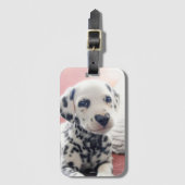 Dalmatian Heart Nose ラゲッジタグ (正面縦)