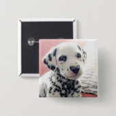 Dalmatian Heart Nose 缶バッジ (正面&裏面)