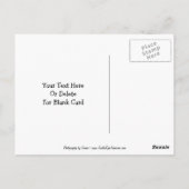 Dalmatian Puppy Butteresカスタマイズ可能なはがき ポストカード (裏面)