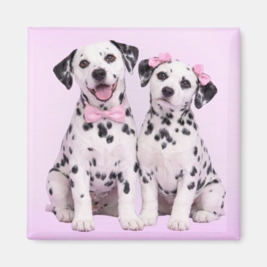 Dalmatian Puppy Love – Valentine Dog Couple Magnet マグネット (正面)