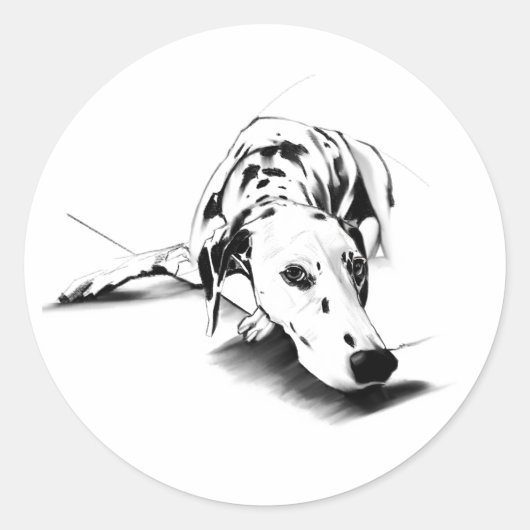 Dalmatian Sticker - Dog Art  ラウンドシール (正面)