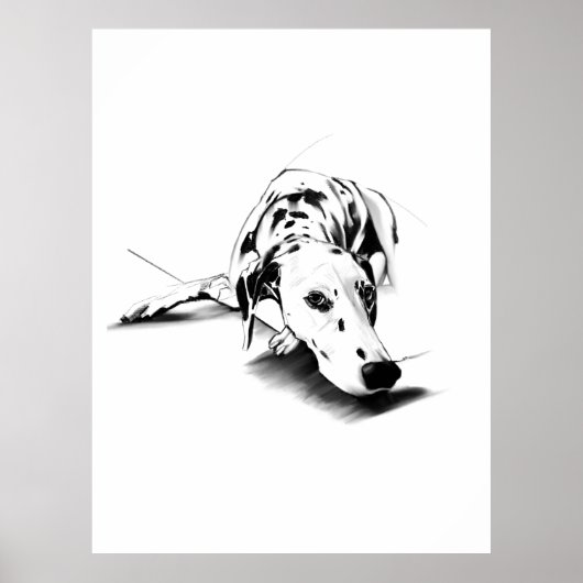 Dalmatian Wall Art Poster – Hand Drawn ポスター (正面)
