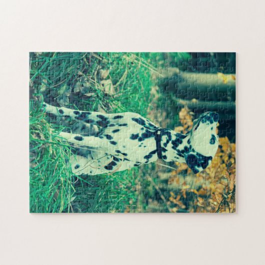 Dalmatiner ジグソーパズル (横)