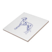 Dalmatiner タイル (側面)