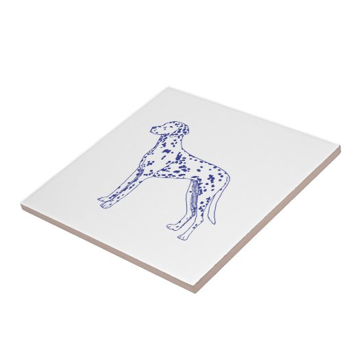 Dalmatiner タイル (側面)