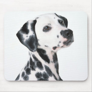 Dalmation マウスパッド