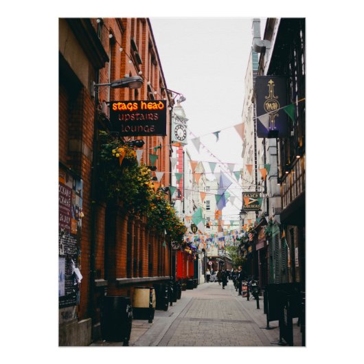 Dame Lane Dublin - Photography ポスター (正面)