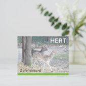 Damherten HERTelijk Gefeliciterd Brifkaart ポストカード (スタンド正面)
