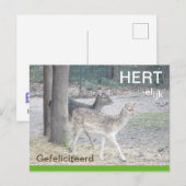 Damherten HERTelijk Gefeliciterd Brifkaart ポストカード (正面/裏面)