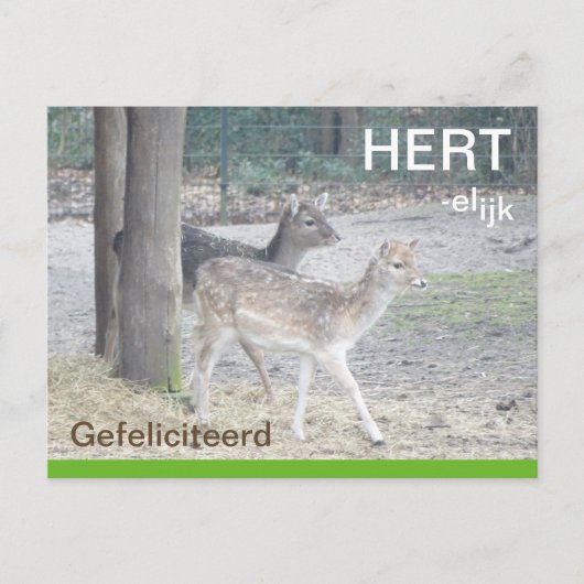 Damherten HERTelijk Gefeliciterd Brifkaart ポストカード (正面)