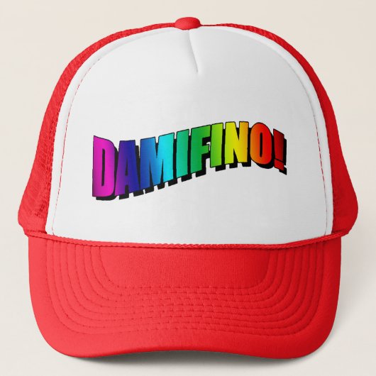 DAMIFINO! トラック運転手の帽子 キャップ (正面)