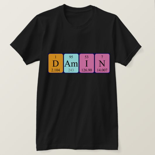 Damin期別表名のシャツ Tシャツ (デザイン正面)