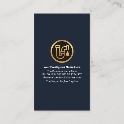 Damp Walls Water Seepage Home Plumbing Service 名刺 (裏面)