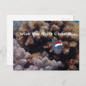 Damselfish ポストカード (正面/裏面)