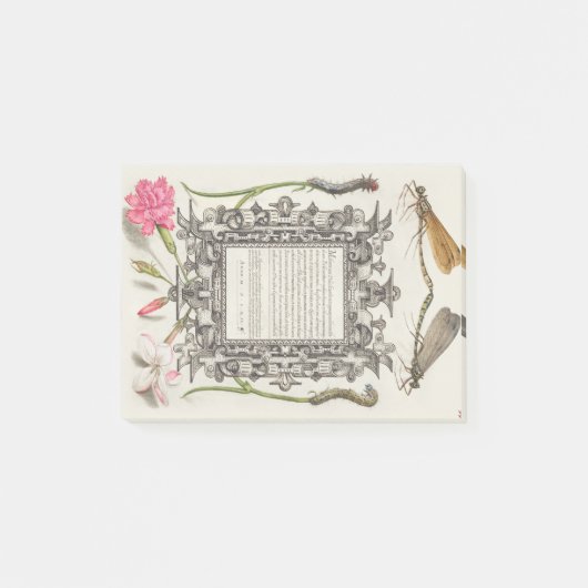 Damselflies、Caterpilles、Carnation、Poet's ポストイット (正面)