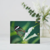 DANAはがき ポストカード (スタンド正面)