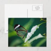 DANAはがき ポストカード (正面/裏面)