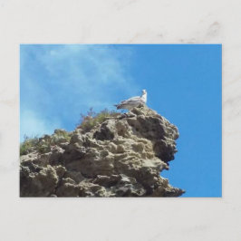 DANAポイント#3はがき ポストカード