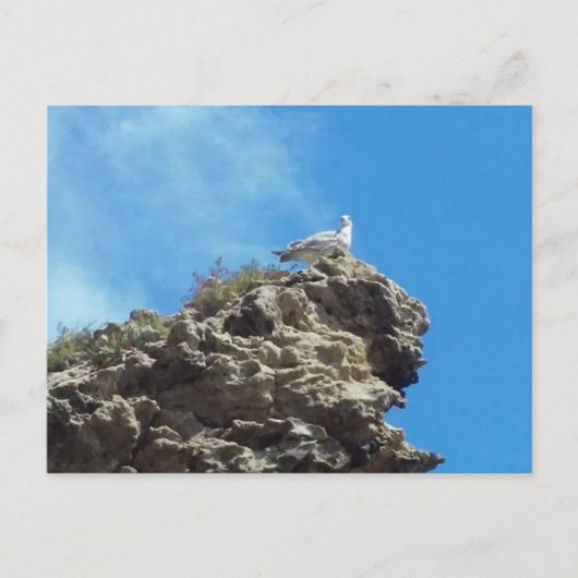 DANAポイント#3はがき ポストカード (正面)