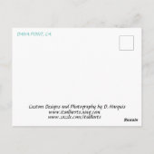 DANA POINT 4 #4はがき ポストカード (裏面)