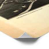 Danbury Connecticut 1884パノラママップ ポスター (角)