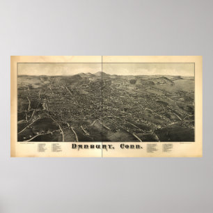 Danbury Connecticut 1884パノラママップ ポスター