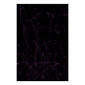 Dance of Dimensions ポスター (正面)