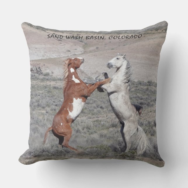 DANCE OF THE STALLIONS PATIO PILLOW アウトドアクッション (正面)