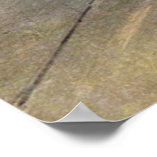 Dancer / Star of the Ballet - Degas Painting ポスター (角)