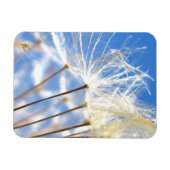 Dancing Dandelion Poof, Happy, Joyful, Nature マグネット (横)