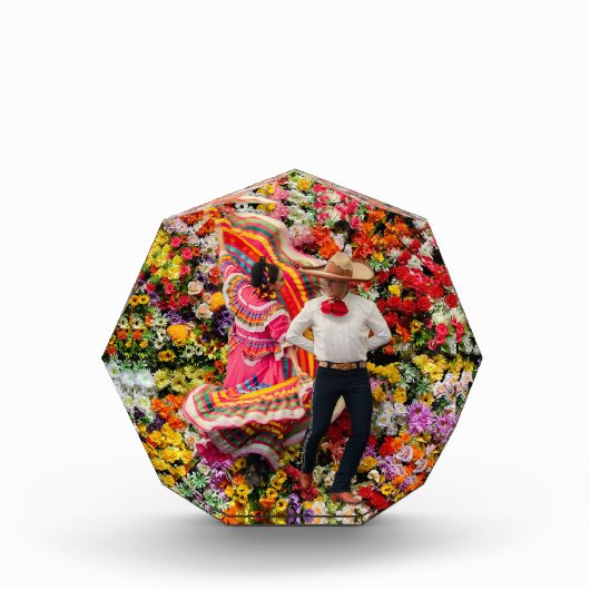 DANCING IN BLOOM フォトブロック (正面)