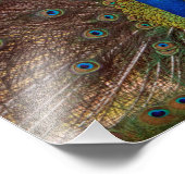 Dancing Peacock (Portrait) フォトプリント (角)