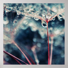 Dandalion Seeds with Dropsマクロ抽象芸術 ポスター
