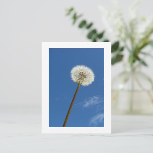 Dandelionと青空 – はがき (スタンド正面)