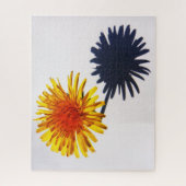 DandelionとShadow 16x20 520pc jpcna ジグソーパズル (縦)