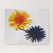 DandelionとShadow 16x20 520pc jpcna ジグソーパズル (横)