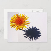 DandelionとShadow pccna ポストカード (正面/裏面)