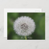 Dandelionのウィッシュハガキ ポストカード (正面/裏面)