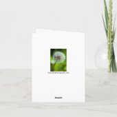 Dandelionグリーティングカード サンキューカード (裏面)