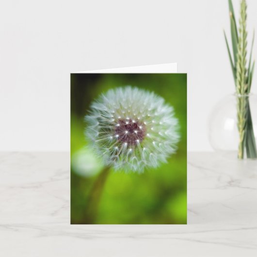 Dandelionグリーティングカード サンキューカード (正面)