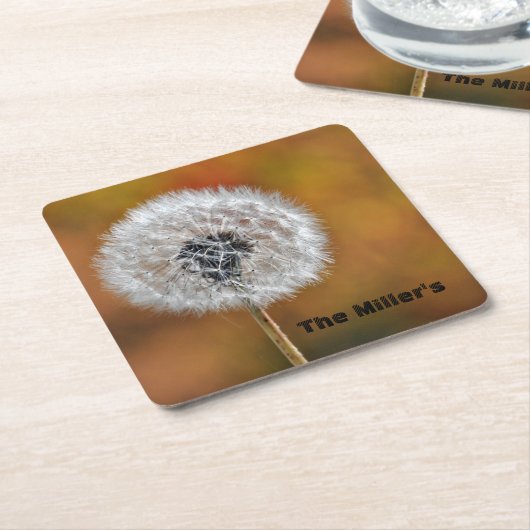 Dandelionシードヘッドとカスタマイズ可能な文字 スクエアペーパーコースター (アングル)