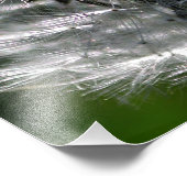 Dandelionヘッドシード – フォトプリント フォトプリント            (角)