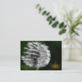 Dandelionヘッドシード – 名刺 (スタンド正面)