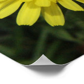 Dandelionマクロ写真ポスター ポスター (角)