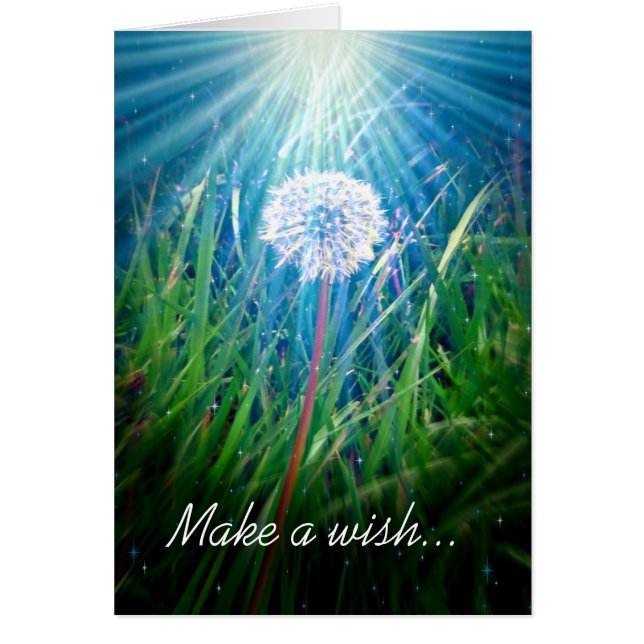 Dandelionマクロ (正面)