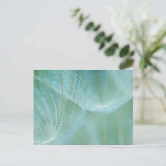 Dandelionマクロ ポストカード (スタンド正面)