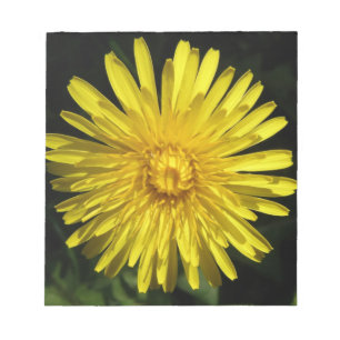 Dandelionメモ帳 ノートパッド