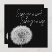 Dandelion白黒クローズアップ感動的写真 (正面/裏面)