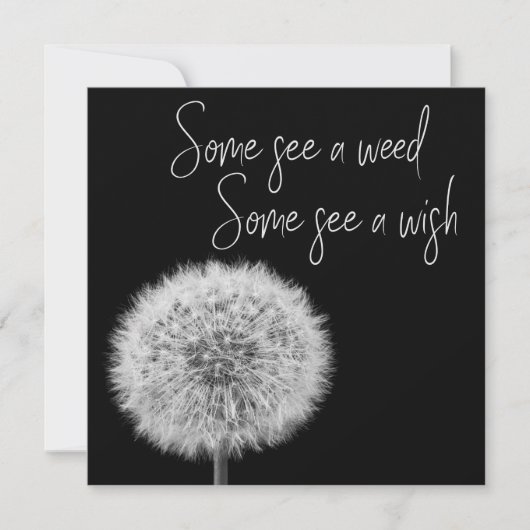 Dandelion白黒クローズアップ感動的写真 (正面)